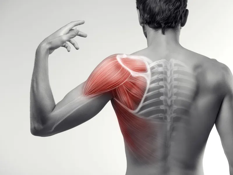 Shoulder Pain Treatment Near Me in East Greenwich, RI. Chiropractic Care For Shoulder Pain Relief.